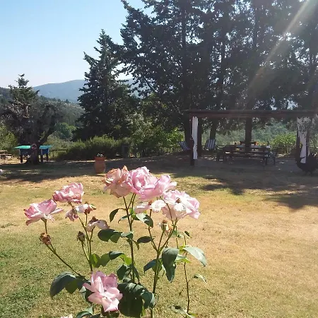Gasthuis Agriturismo Podere Somigli Di Lorenzo Correani