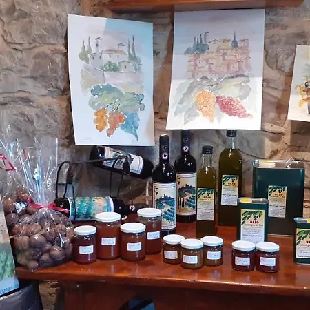 Gasthuis Agriturismo Podere Somigli Di Lorenzo Correani Greve in Chianti