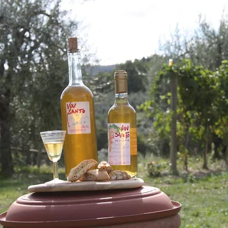 Gasthuis Agriturismo Podere Somigli Di Lorenzo Correani *