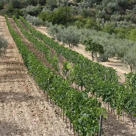 Agriturismo Podere Somigli Di Lorenzo Correani Gasthuis Greve in Chianti