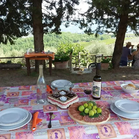Agriturismo Podere Somigli Di Lorenzo Correani Gasthuis *